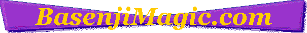 BasenjiMagic.com